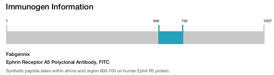 Ephrin Receptor A5 Polyclonal Antibody, FITC