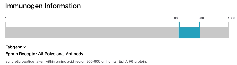 Ephrin Receptor A6 Polyclonal Antibody