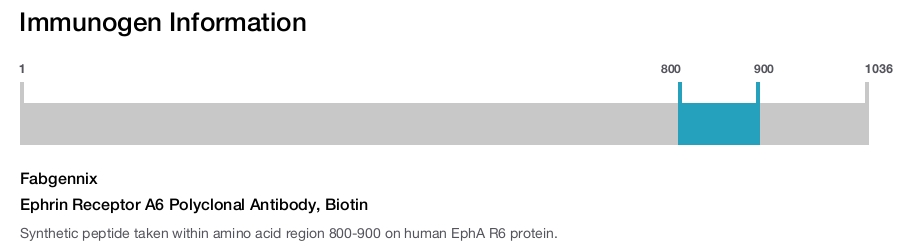 Ephrin Receptor A6 Polyclonal Antibody, Biotin