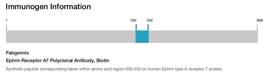 Ephrin Receptor A7 Polyclonal Antibody, Biotin