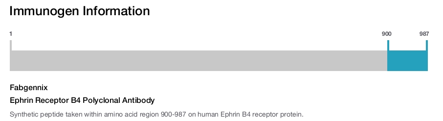 Ephrin Receptor B4 Polyclonal Antibody