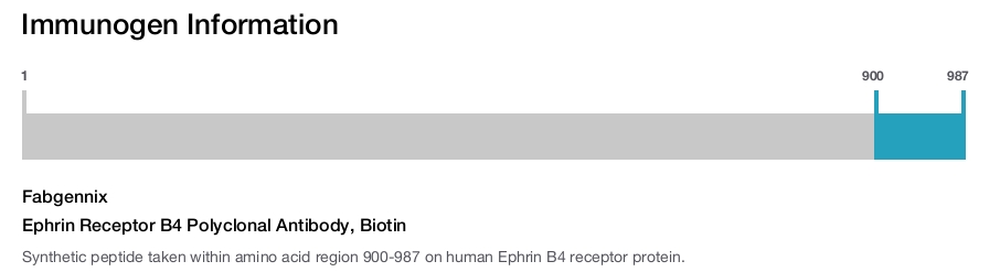 Ephrin Receptor B4 Polyclonal Antibody, Biotin