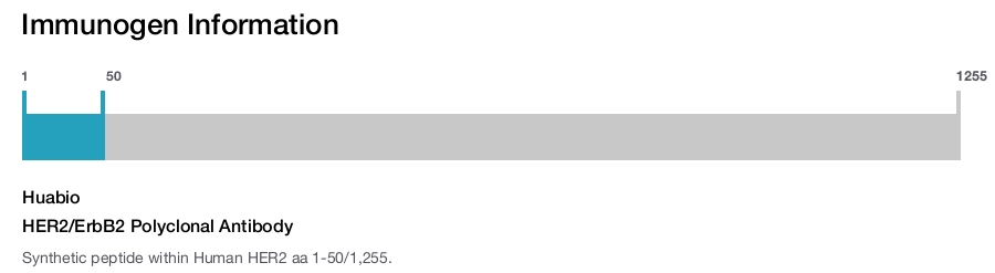 HER2/ErbB2 Polyclonal Antibody