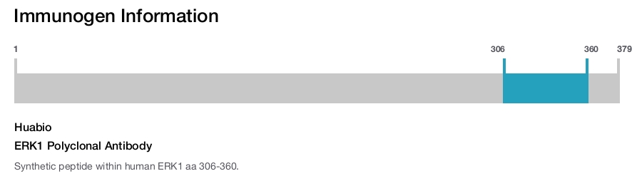 ERK1 Polyclonal Antibody