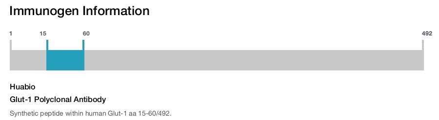 Glut-1 Polyclonal Antibody