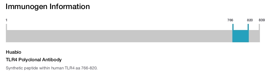 TLR4 Polyclonal Antibody