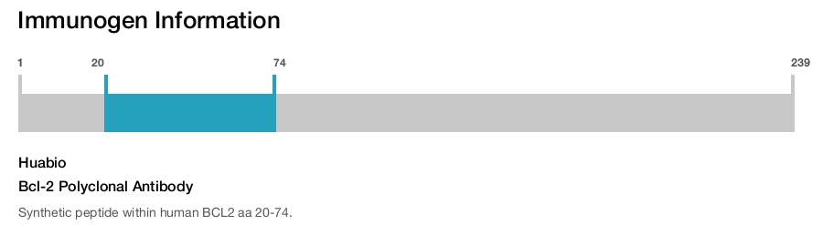 Bcl-2 Polyclonal Antibody