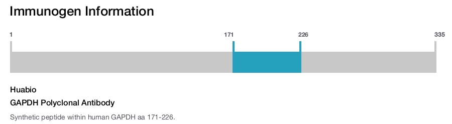 GAPDH Polyclonal Antibody