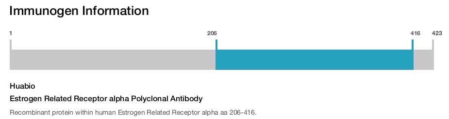 Estrogen Related Receptor alpha Polyclonal Antibody