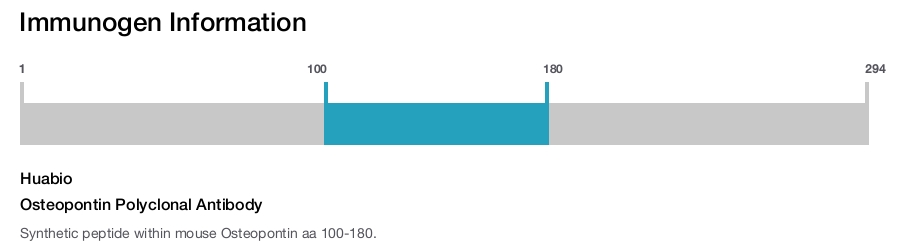 Osteopontin Polyclonal Antibody
