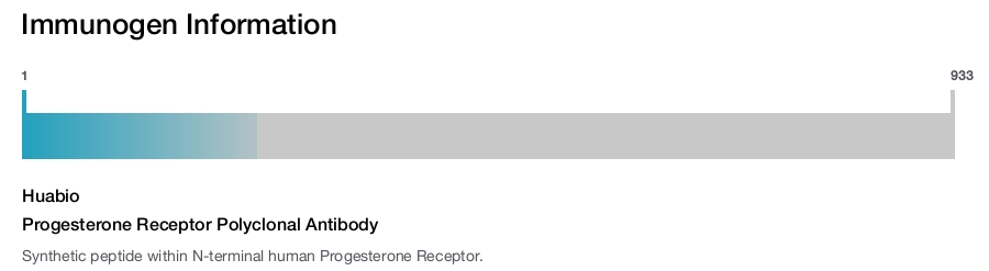 Progesterone Receptor Polyclonal Antibody