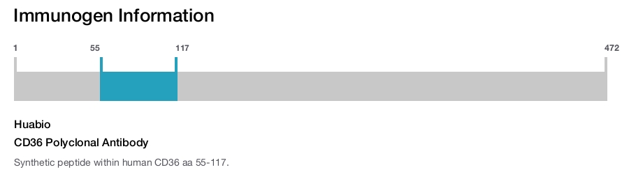 CD36 Polyclonal Antibody
