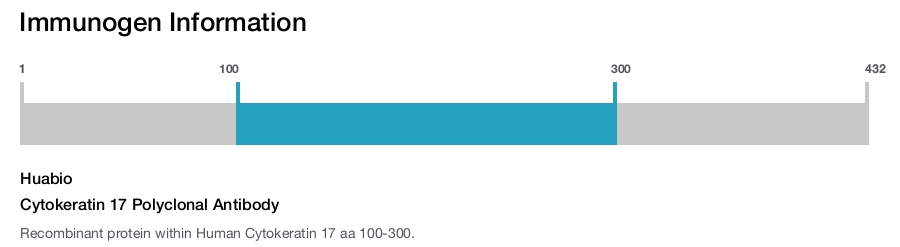 Cytokeratin 17 Polyclonal Antibody