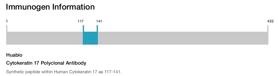 Cytokeratin 17 Polyclonal Antibody