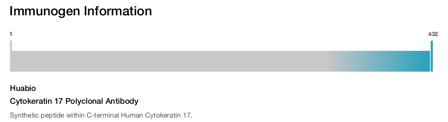 Cytokeratin 17 Polyclonal Antibody