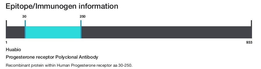 Progesterone receptor Polyclonal Antibody