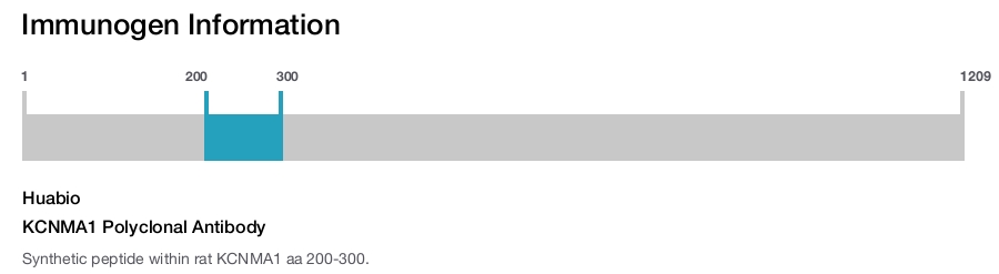 KCNMA1 Polyclonal Antibody