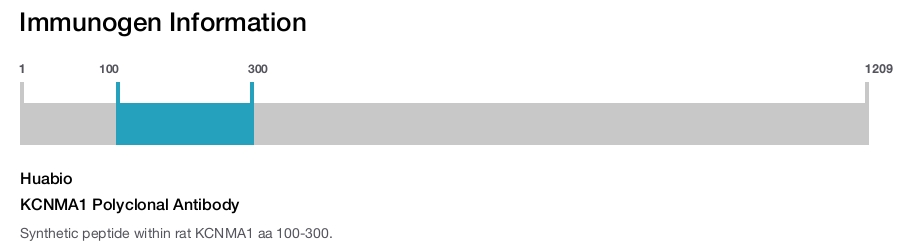 KCNMA1 Polyclonal Antibody