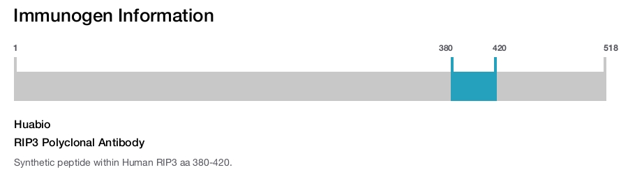 RIP3 Polyclonal Antibody