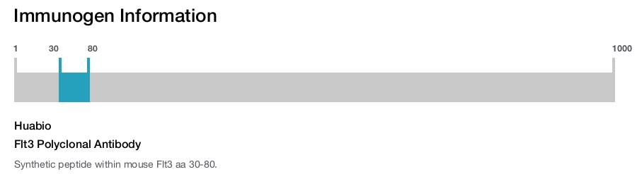 Flt3 Polyclonal Antibody