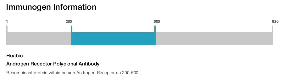 Androgen Receptor Polyclonal Antibody