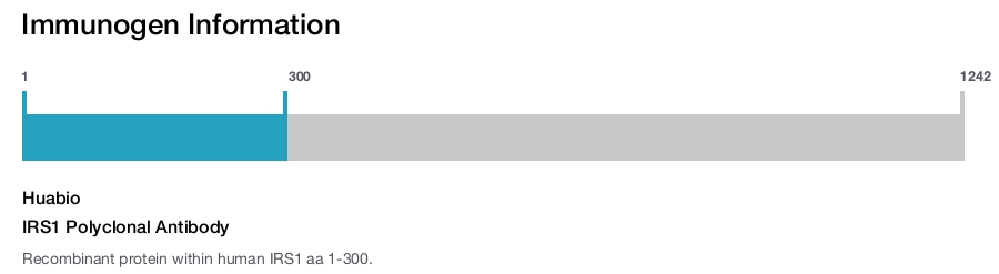 IRS1 Polyclonal Antibody