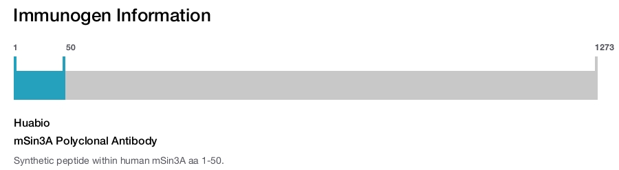 mSin3A Polyclonal Antibody