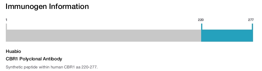 CBR1 Polyclonal Antibody