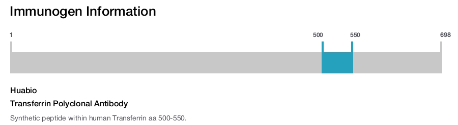 Transferrin Polyclonal Antibody