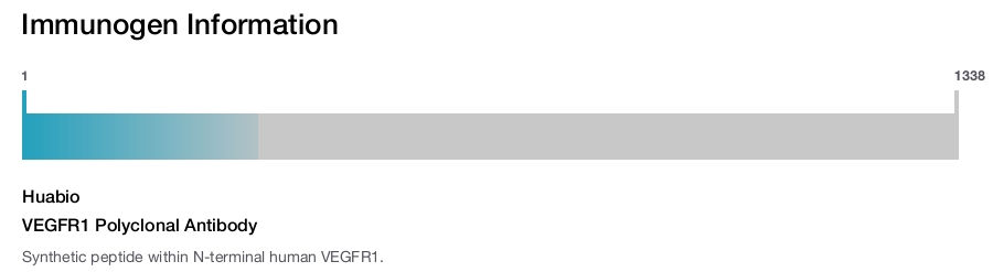 VEGFR1 Polyclonal Antibody