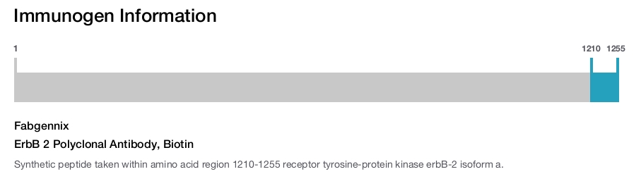 ErbB 2 Polyclonal Antibody, Biotin