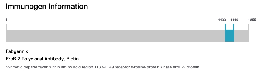 ErbB 2 Polyclonal Antibody, Biotin