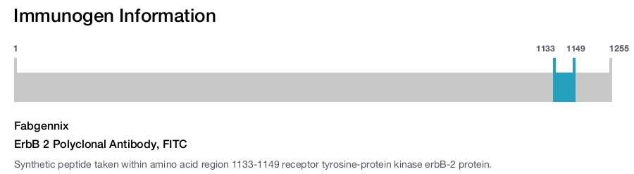 ErbB 2 Polyclonal Antibody, FITC