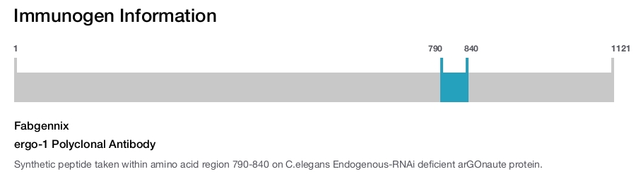 ergo-1 Polyclonal Antibody