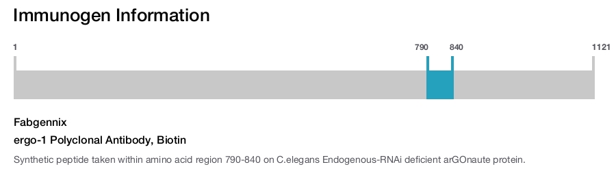 ergo-1 Polyclonal Antibody, Biotin