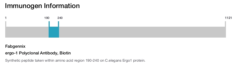 ergo-1 Polyclonal Antibody, Biotin