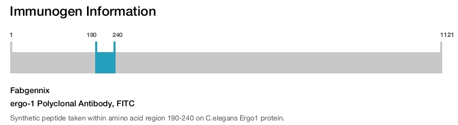 ergo-1 Polyclonal Antibody, FITC