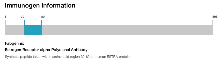 Estrogen Receptor alpha Polyclonal Antibody