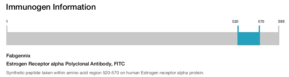 Estrogen Receptor alpha Polyclonal Antibody, FITC