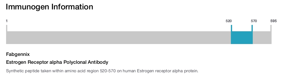 Estrogen Receptor alpha Polyclonal Antibody