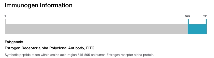 Estrogen Receptor alpha Polyclonal Antibody, FITC
