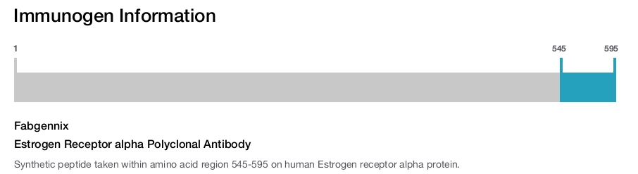 Estrogen Receptor alpha Polyclonal Antibody
