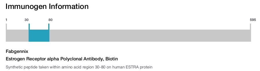 Estrogen Receptor alpha Polyclonal Antibody, Biotin