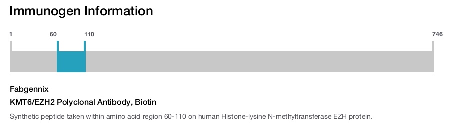 KMT6/EZH2 Polyclonal Antibody, Biotin
