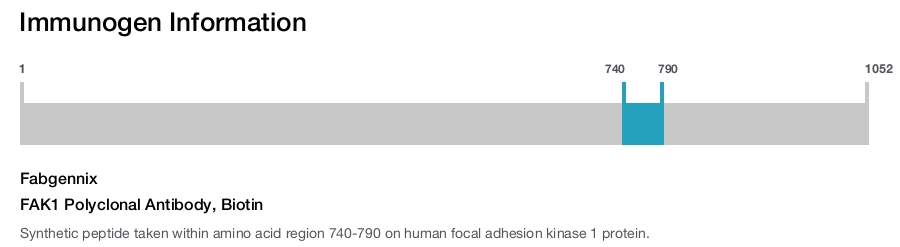 FAK1 Polyclonal Antibody, Biotin