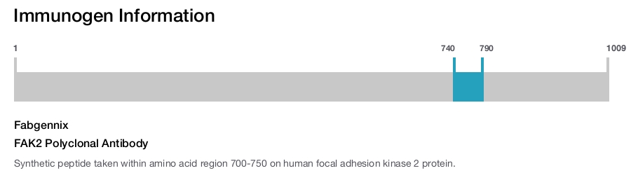FAK2 Polyclonal Antibody