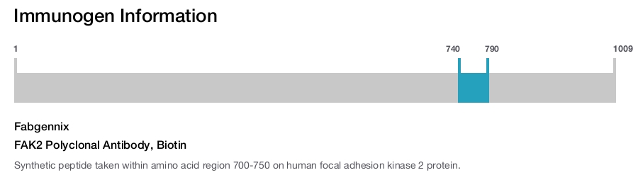 FAK2 Polyclonal Antibody, Biotin