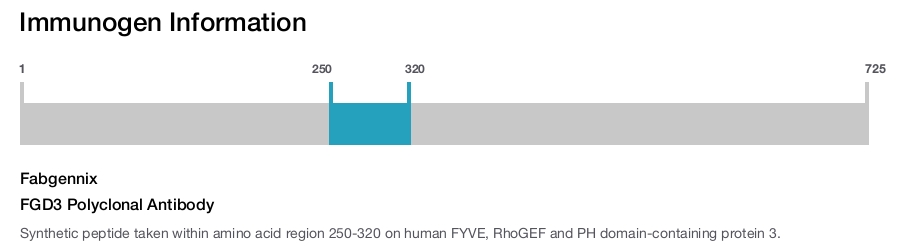 FGD3 Polyclonal Antibody