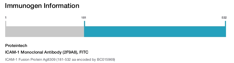 ICAM-1 Monoclonal Antibody (2F9A8), FITC