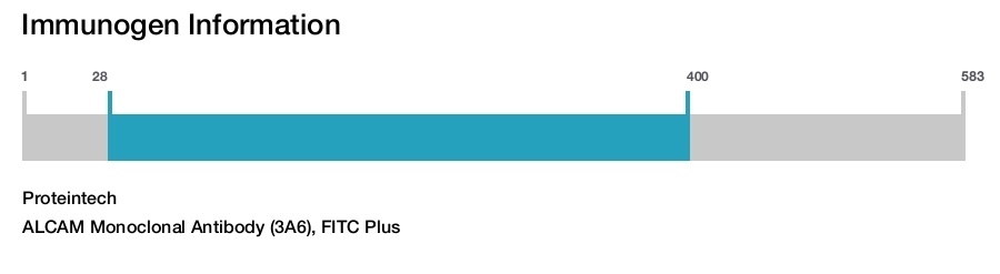 ALCAM Monoclonal Antibody (3A6), FITC Plus